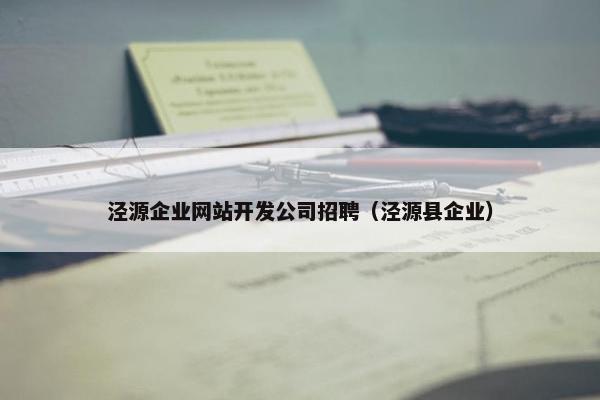 泾源企业网站开发公司招聘（泾源县企业）