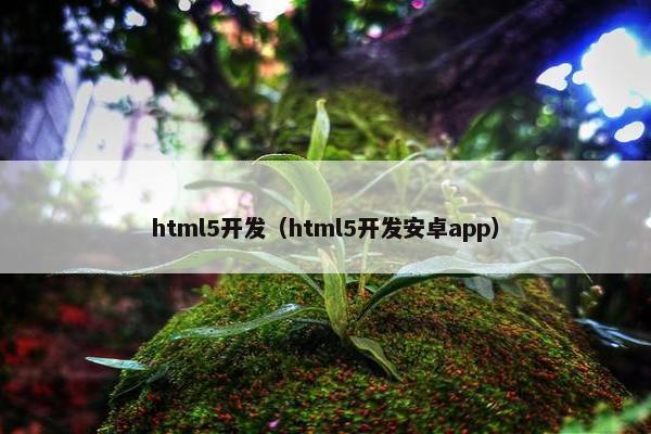 html5开发（html5开发安卓app）