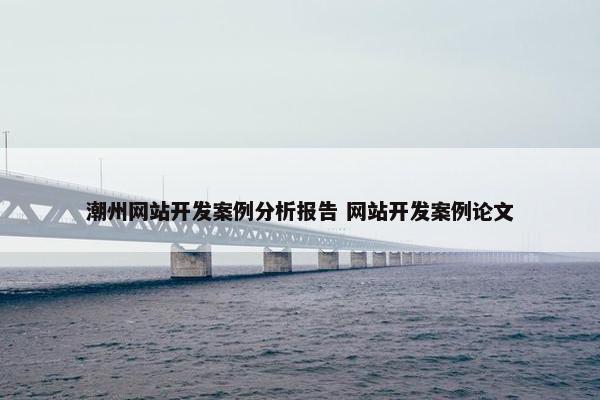 潮州网站开发案例分析报告 网站开发案例论文