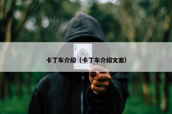 卡丁车介绍（卡丁车介绍文案）