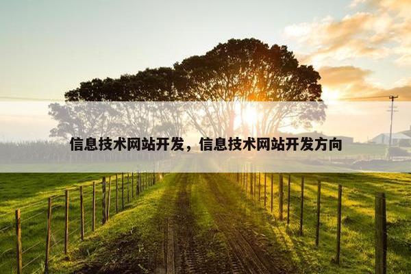 信息技术网站开发，信息技术网站开发方向