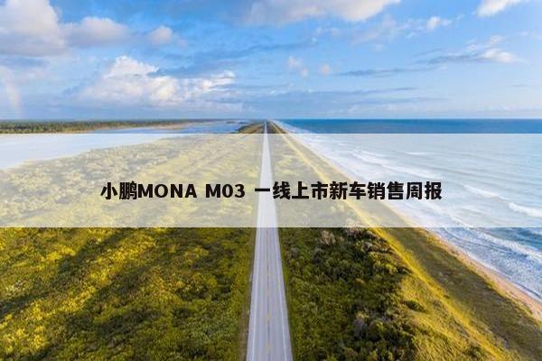 小鹏MONA M03 一线上市新车销售周报