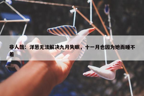 非人哉：洋葱无法解决九月失眠，十一月也因为她而睡不着