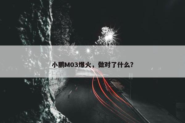 小鹏M03爆火，做对了什么？