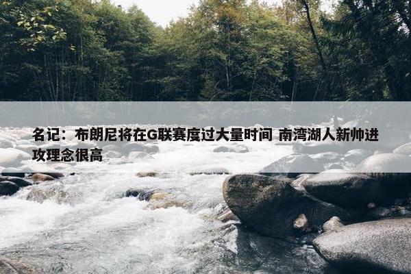 名记：布朗尼将在G联赛度过大量时间 南湾湖人新帅进攻理念很高