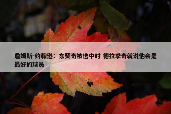 詹姆斯-约翰逊：东契奇被选中时 德拉季奇就说他会是最好的球员