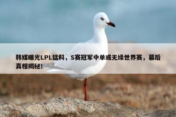 韩媒曝光LPL猛料，S赛冠军中单或无缘世界赛，幕后真相揭秘！