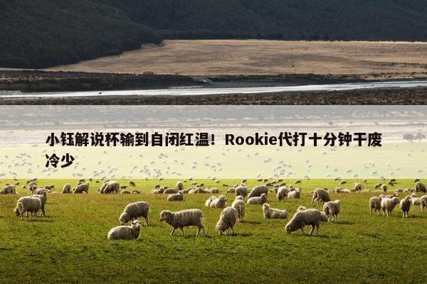 小钰解说杯输到自闭红温！Rookie代打十分钟干废冷少