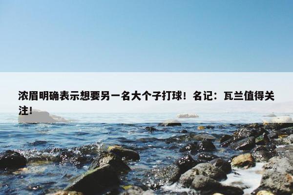 浓眉明确表示想要另一名大个子打球！名记：瓦兰值得关注！