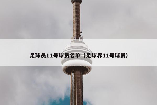 足球员11号球员名单（足球界11号球员）