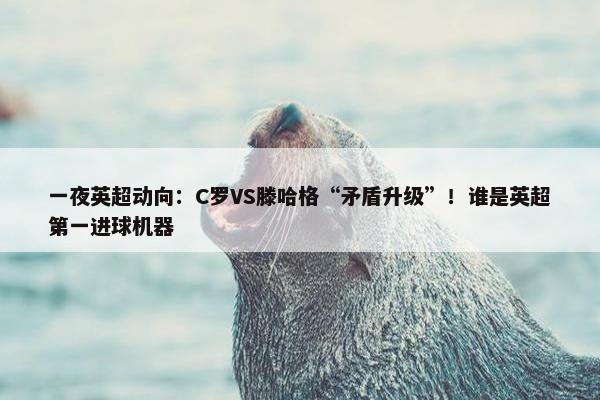 一夜英超动向：C罗VS滕哈格“矛盾升级”！谁是英超第一进球机器