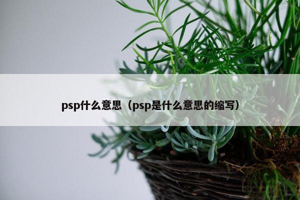 psp什么意思（psp是什么意思的缩写）