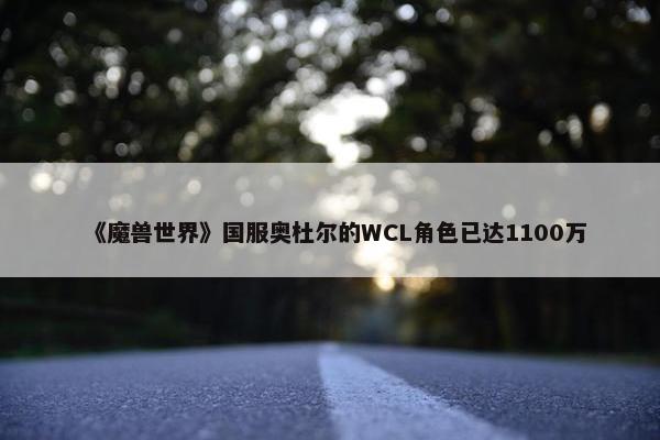 《魔兽世界》国服奥杜尔的WCL角色已达1100万