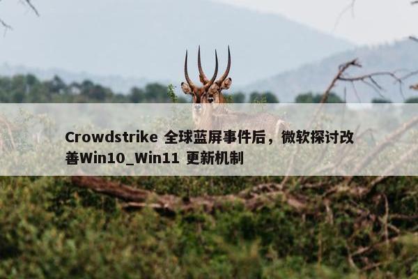 Crowdstrike 全球蓝屏事件后，微软探讨改善Win10_Win11 更新机制