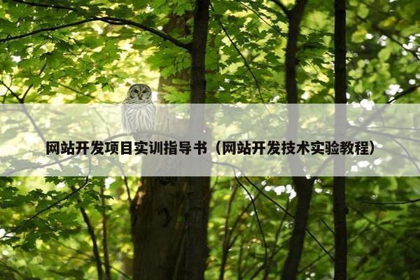 网站开发项目实训指导书（网站开发技术实验教程）