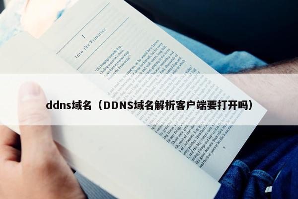 ddns域名（DDNS域名解析客户端要打开吗）