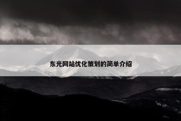 东光网站优化策划的简单介绍