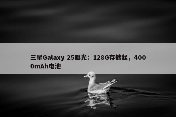 三星Galaxy 25曝光：128G存储起，4000mAh电池