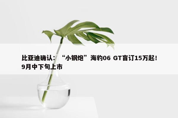 比亚迪确认：“小钢炮”海豹06 GT盲订15万起！9月中下旬上市