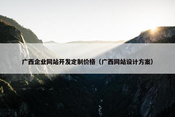 广西企业网站开发定制价格（广西网站设计方案）