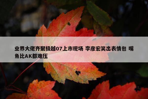 业界大佬齐聚极越07上市现场 李彦宏笑出表情包 嘴角比AK都难压