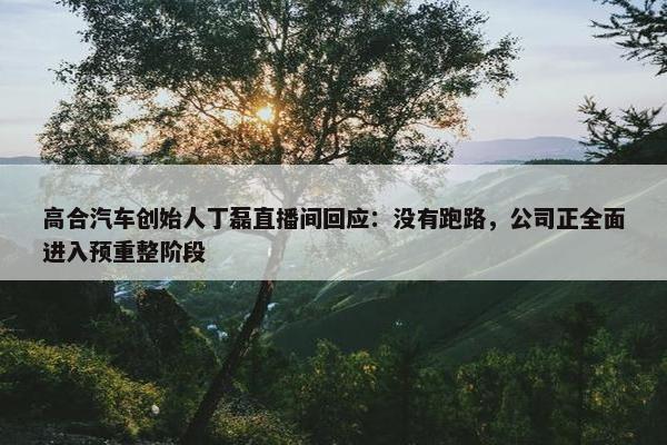 高合汽车创始人丁磊直播间回应：没有跑路，公司正全面进入预重整阶段