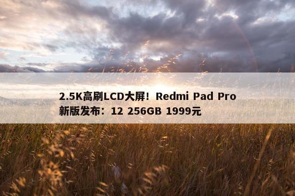 2.5K高刷LCD大屏！Redmi Pad Pro新版发布：12 256GB 1999元