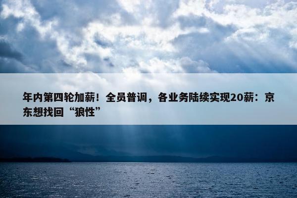 年内第四轮加薪！全员普调，各业务陆续实现20薪：京东想找回“狼性”