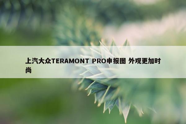 上汽大众TERAMONT PRO申报图 外观更加时尚