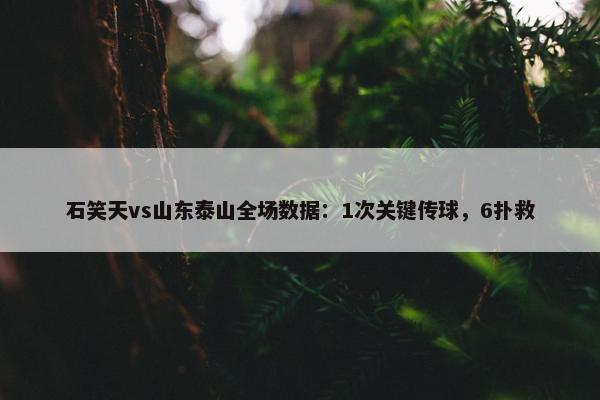 石笑天vs山东泰山全场数据：1次关键传球，6扑救