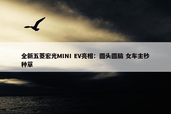 全新五菱宏光MINI EV亮相：圆头圆脑 女车主秒种草