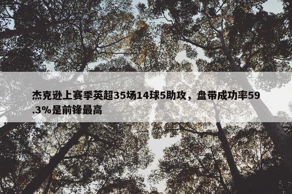 杰克逊上赛季英超35场14球5助攻，盘带成功率59.3%是前锋最高