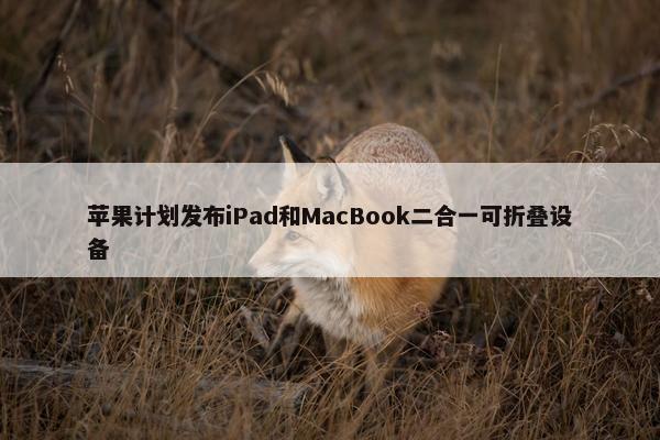 苹果计划发布iPad和MacBook二合一可折叠设备