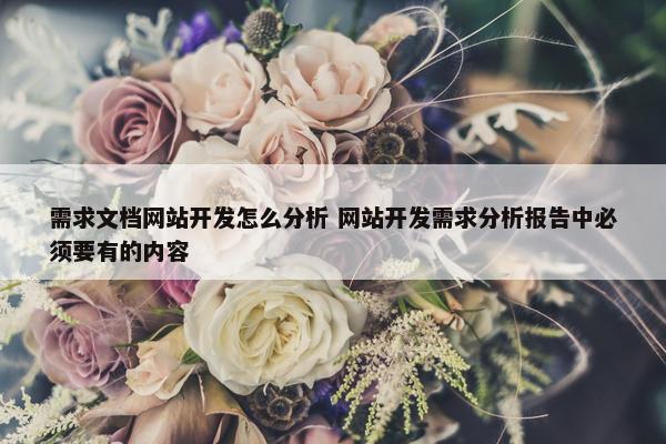 需求文档网站开发怎么分析 网站开发需求分析报告中必须要有的内容