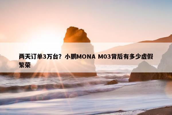 两天订单3万台？小鹏MONA M03背后有多少虚假繁荣