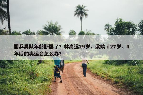 国乒男队年龄断层了？林高远29岁，梁靖崑27岁，4年后的奥运会怎么办？