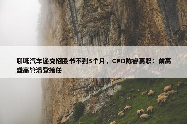 哪吒汽车递交招股书不到3个月，CFO陈睿离职：前高盛高管潘登接任