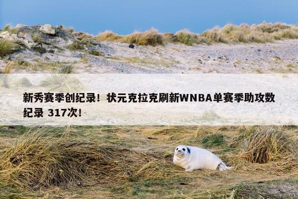 新秀赛季创纪录！状元克拉克刷新WNBA单赛季助攻数纪录 317次！