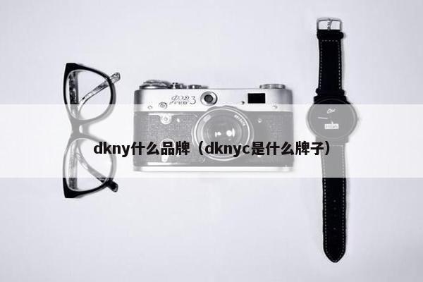 dkny什么品牌（dknyc是什么牌子）