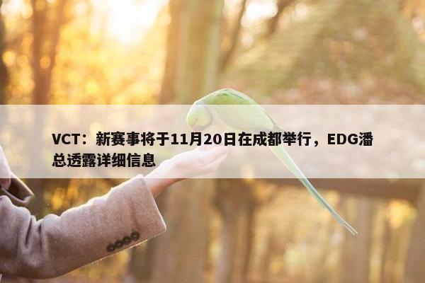 VCT：新赛事将于11月20日在成都举行，EDG潘总透露详细信息