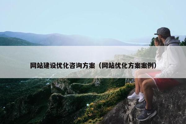 网站建设优化咨询方案（网站优化方案案例）