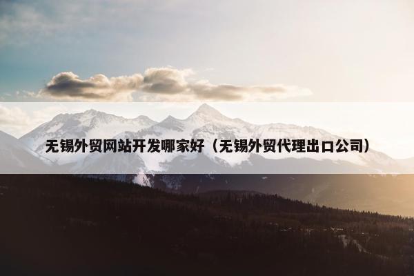 无锡外贸网站开发哪家好（无锡外贸代理出口公司）