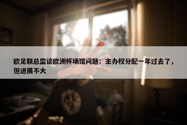 欧足联总监谈欧洲杯场馆问题：主办权分配一年过去了，但进展不大