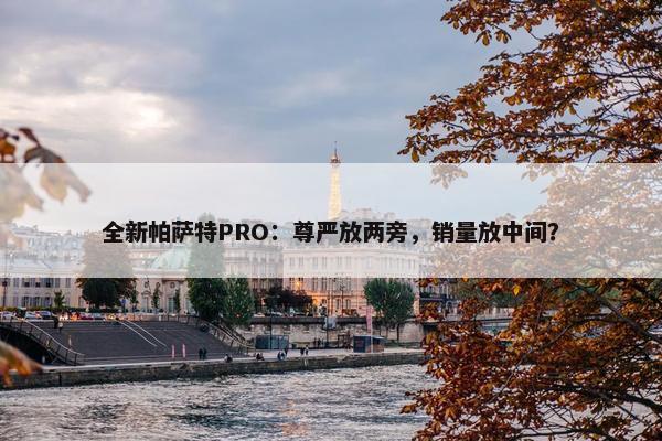 全新帕萨特PRO：尊严放两旁，销量放中间？