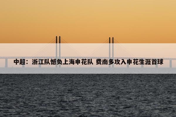 中超：浙江队憾负上海申花队 费南多攻入申花生涯首球