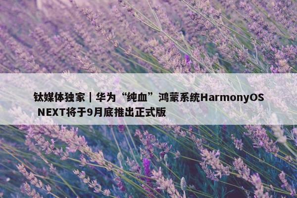 钛媒体独家｜华为“纯血”鸿蒙系统HarmonyOS NEXT将于9月底推出正式版