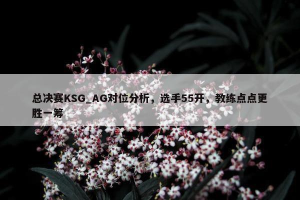 总决赛KSG_AG对位分析，选手55开，教练点点更胜一筹