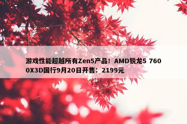 游戏性能超越所有Zen5产品！AMD锐龙5 7600X3D国行9月20日开售：2199元