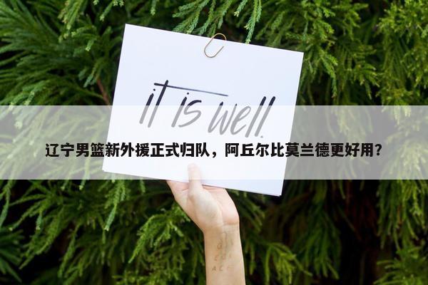 辽宁男篮新外援正式归队，阿丘尔比莫兰德更好用？