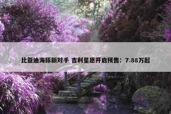 比亚迪海豚新对手 吉利星愿开启预售：7.88万起